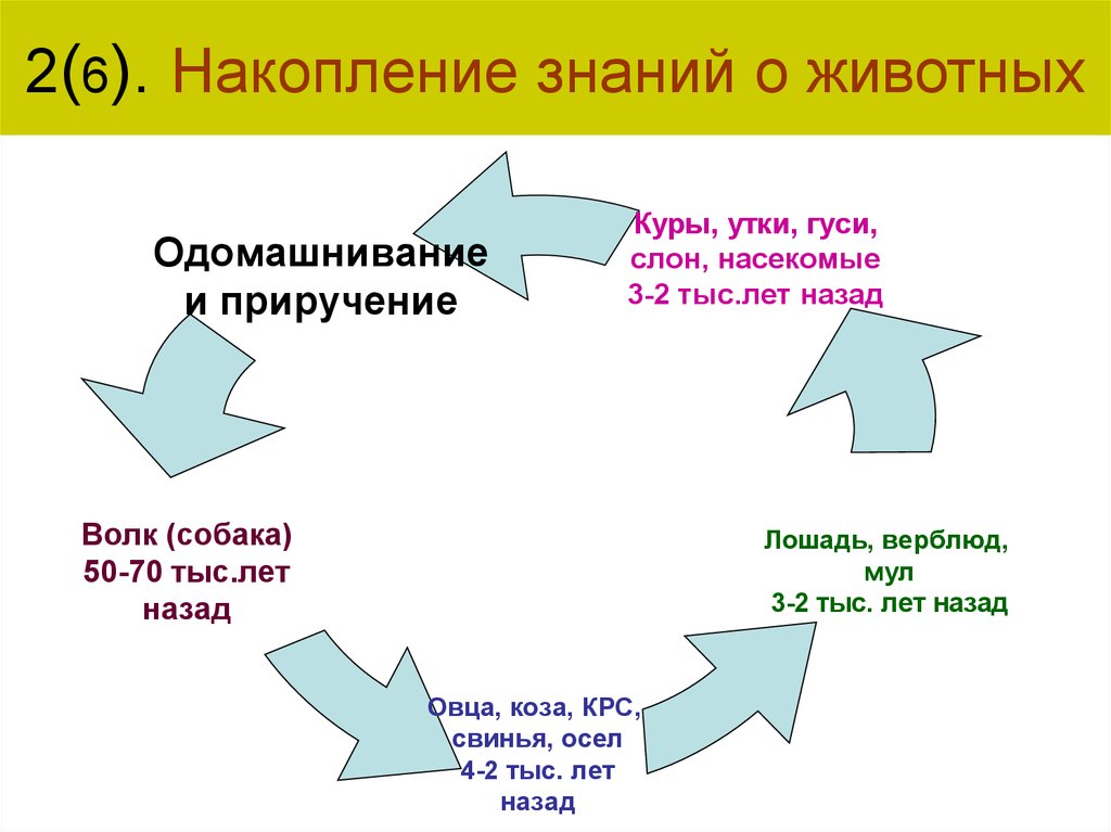 Культура знание. Накопление знаний. Аккумулирование знаний. Накопленные знания. Как накапливаются знания.