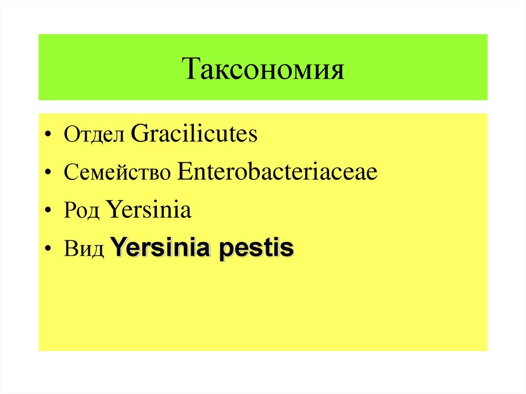 Презентация на тему возбудители чумы