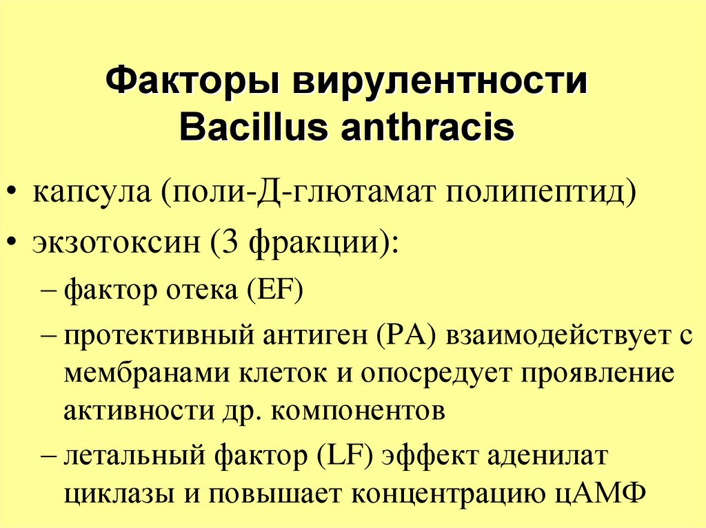 Возбудители чумы туляремии