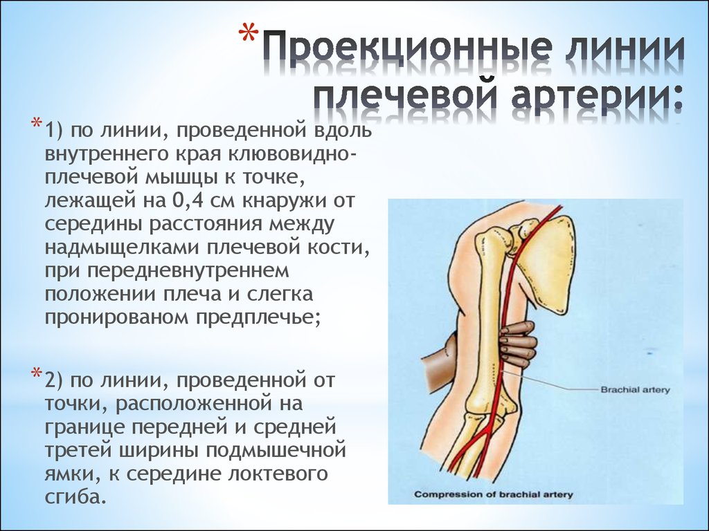 Оперативный разрыв. Коллатеральное кровообращение верхней конечности. Проекционные линии подкрыльцовой артерии.. Подключичная артерия верхней конечности. Проекционные линии сосудов верхней конечности.
