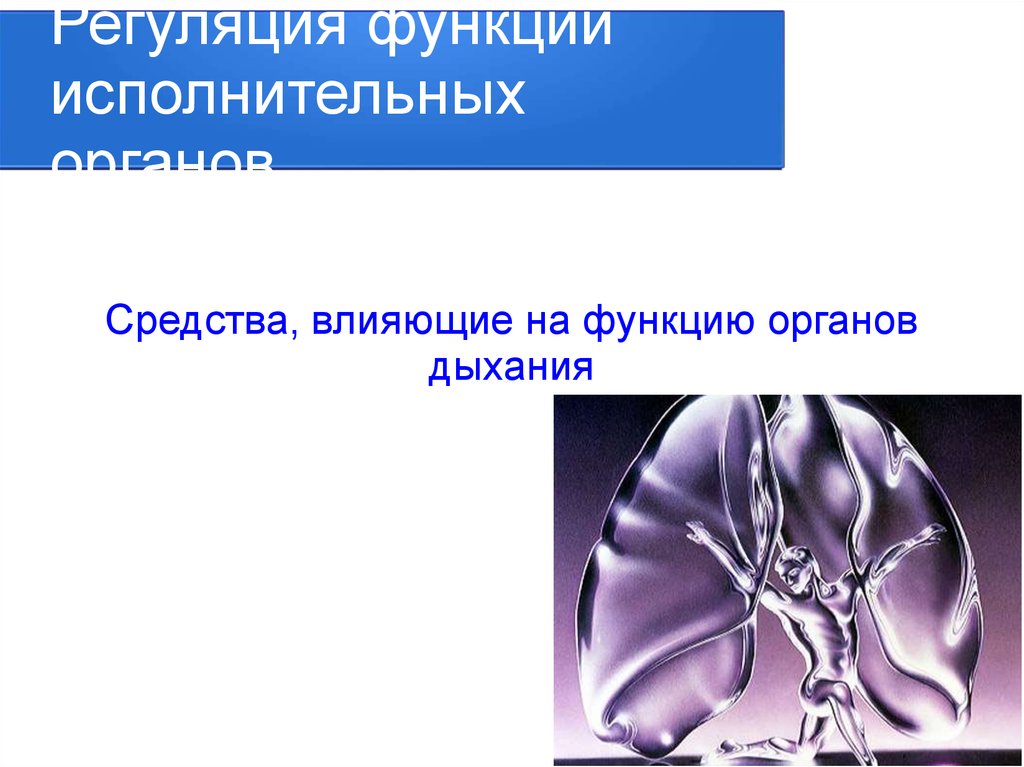 Регуляторная функция. Регуляторные функции. Средства влияющие на функции органов дыхания презентация. Средства влияющие на функцию исполнительных органов.