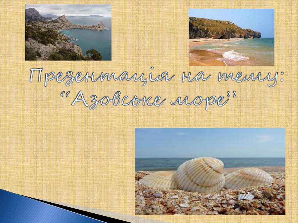 Презентація на тему: “Азовське море”