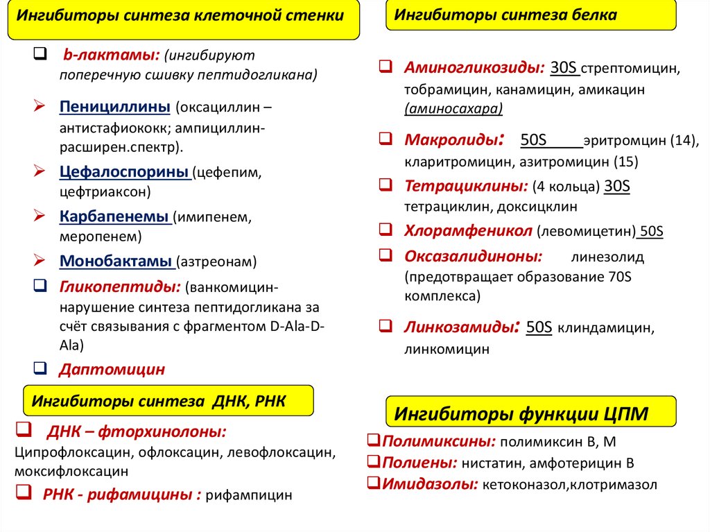 Механизм нарушения синтеза клеточной стенки