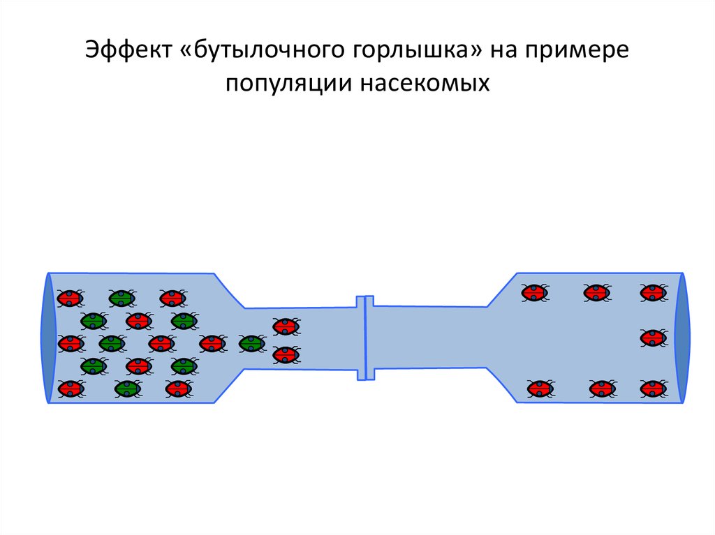 Эффект бутылочного