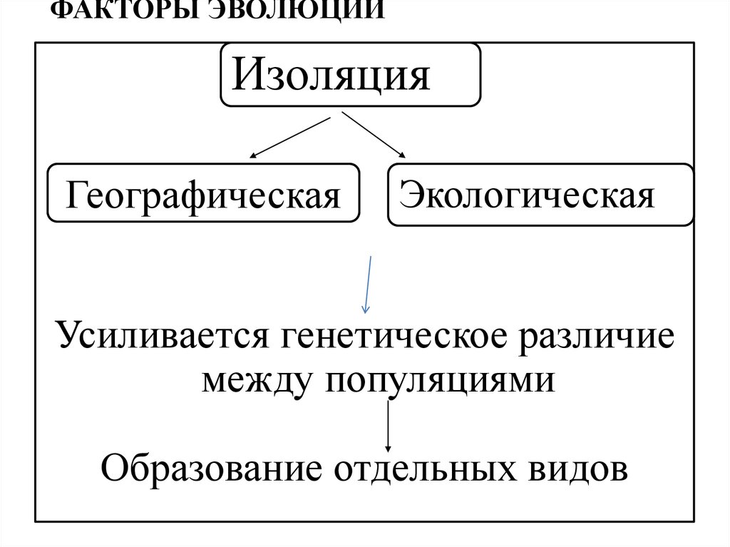 Представьте в виде схемы многообразие эволюционных факторов