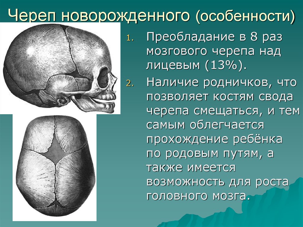 Соединение лобной и теменной кости. Швы костей черепа анатомия. Роднички черепа анатомия. Роднички черепа новорожденного. Череп новорожденного анатомия.
