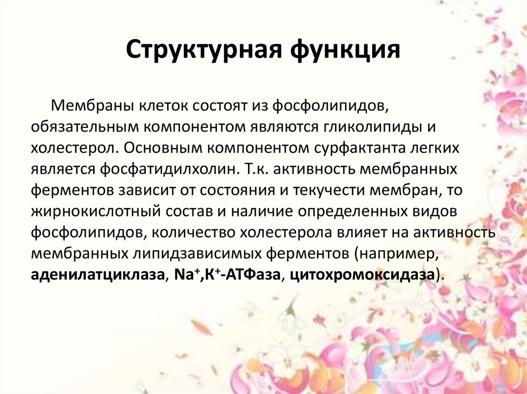 Структурная функция. Структурная функция определение. Функции по структурным компонентом. Структурная функция в чем заключается.