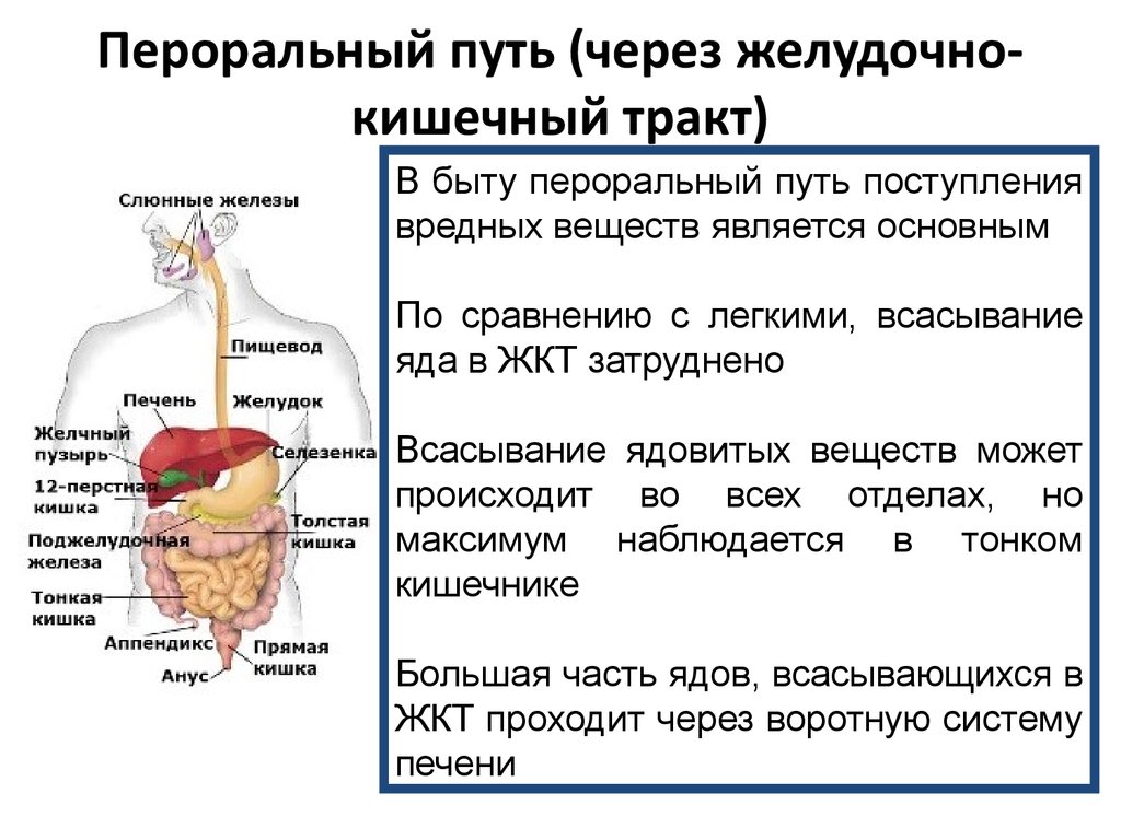 Нормализовать кишечник и желудок