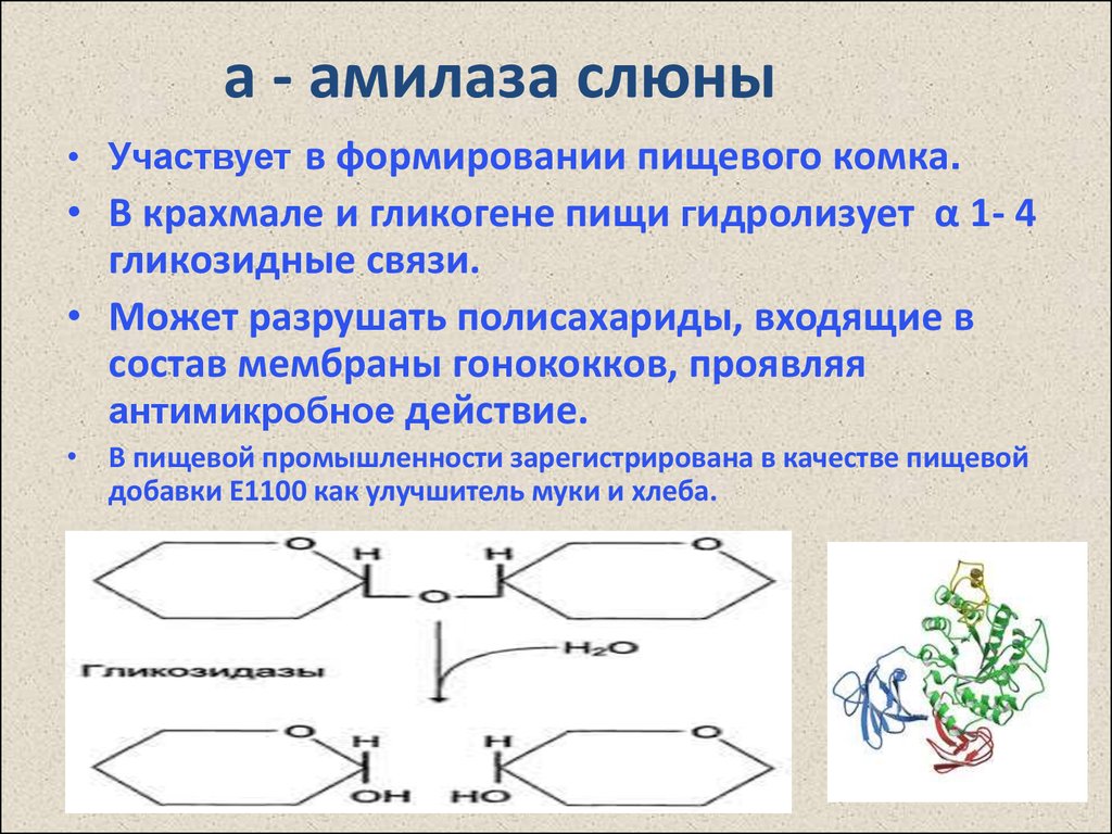 Альфа амилаза слюны биохимия. Α-амилаза формула. Крахмал расщепляется ферментом