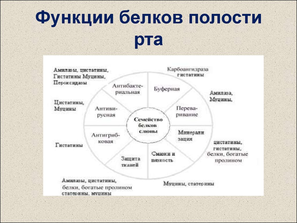 Презентация биохимия полости рта