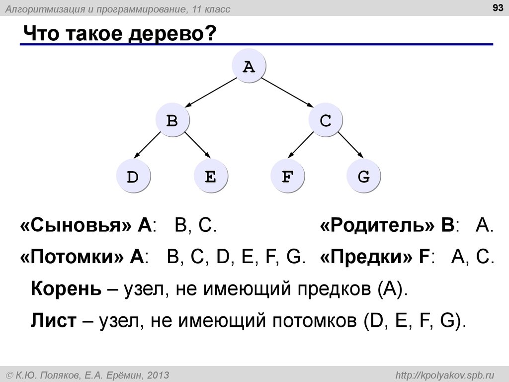 В каких отношениях с 11. Дерево программирование. Дерево Информатика. Предки дерева в информатике. Дерево классов программирование.