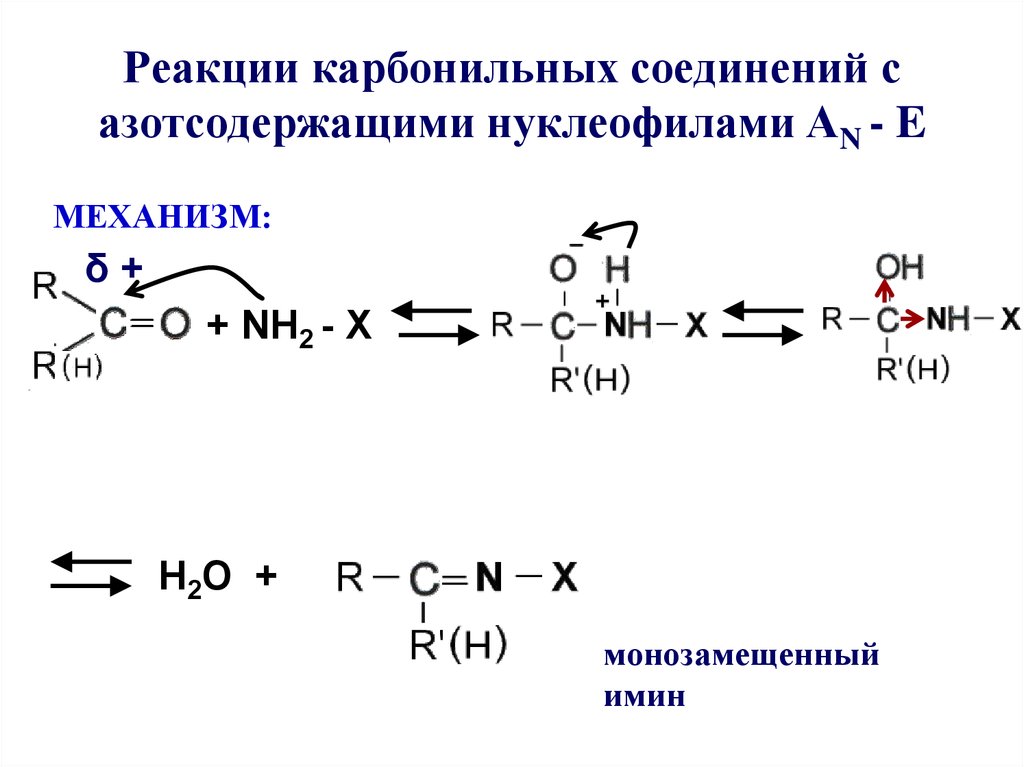 Реакции карбонильных соединений с азотсодержащими нуклеофилами АN - E