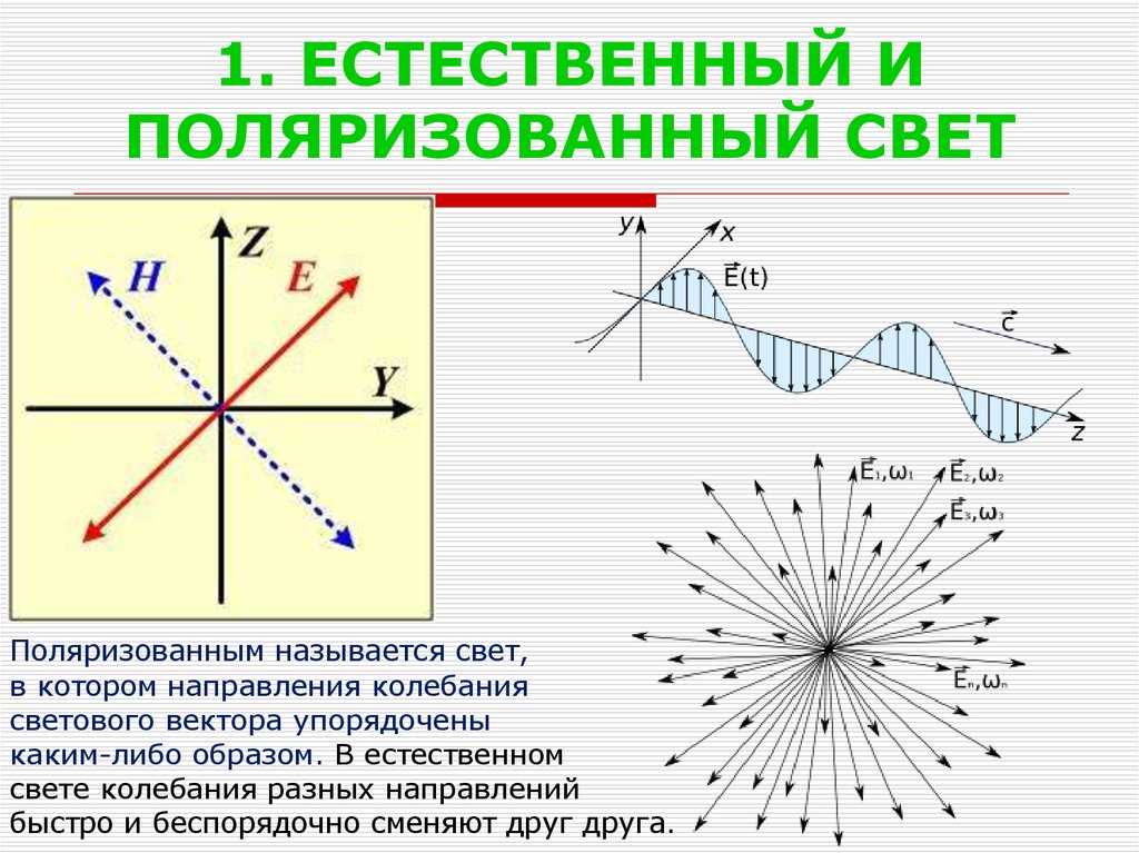 Какой 1 свет. Естественный и поляризованный свет. Плоскополяризованный свет.. 2. Естественный и поляризованный свет. Поляризаторы. Источник излучения создающий поляризованный свет. Какой свет называется естественным поляризованным.