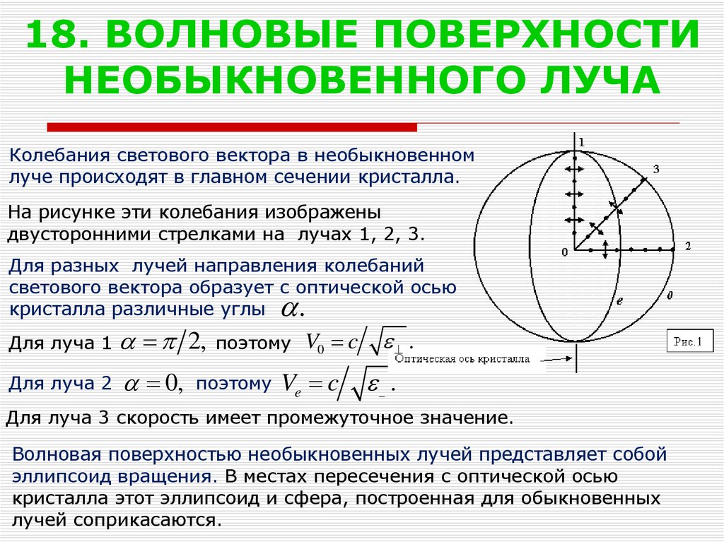 Волновая поверхность. Плоскость главного сечения кристалла. Скорость обыкновенного и необыкновенного лучей. Направление колебаний светового вектора. Плоскость колебания светового луча.