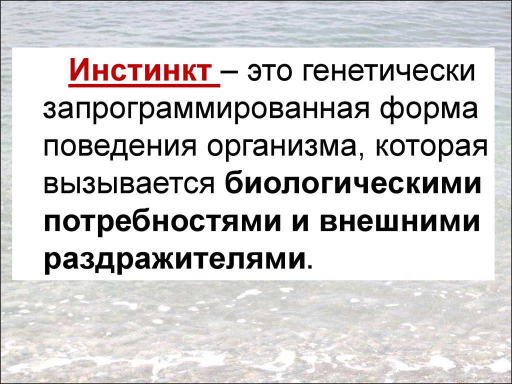 Инстинкт это. Инстинкт. Инстинкт для презентации. Инстинкт это в биологии. Инстинкт это физиология.