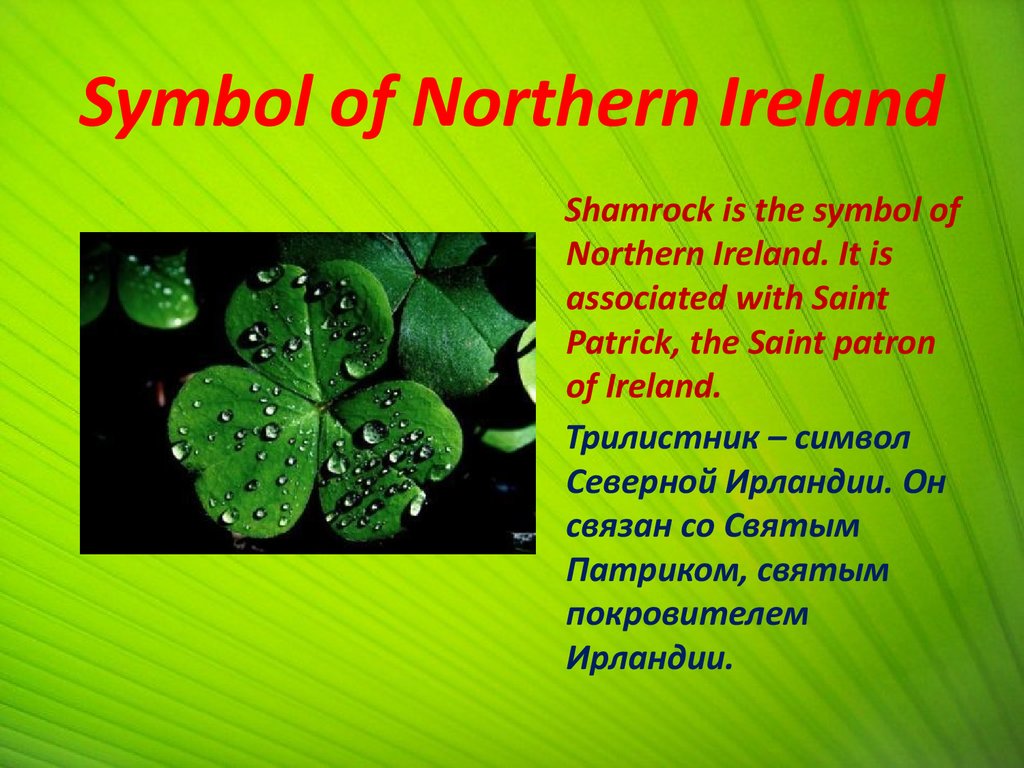 Symbol of Northern Ireland
