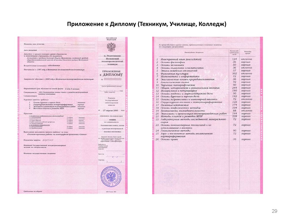 Диплом об окончании колледжа образец с оценками