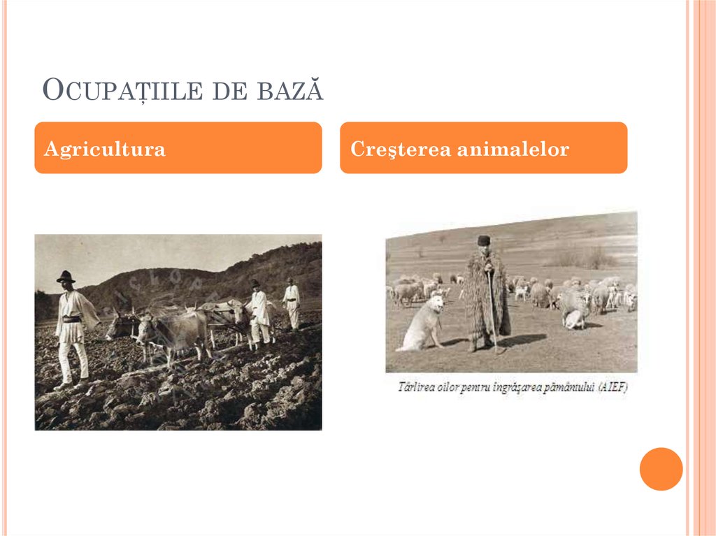 Ocupaţiile de bază