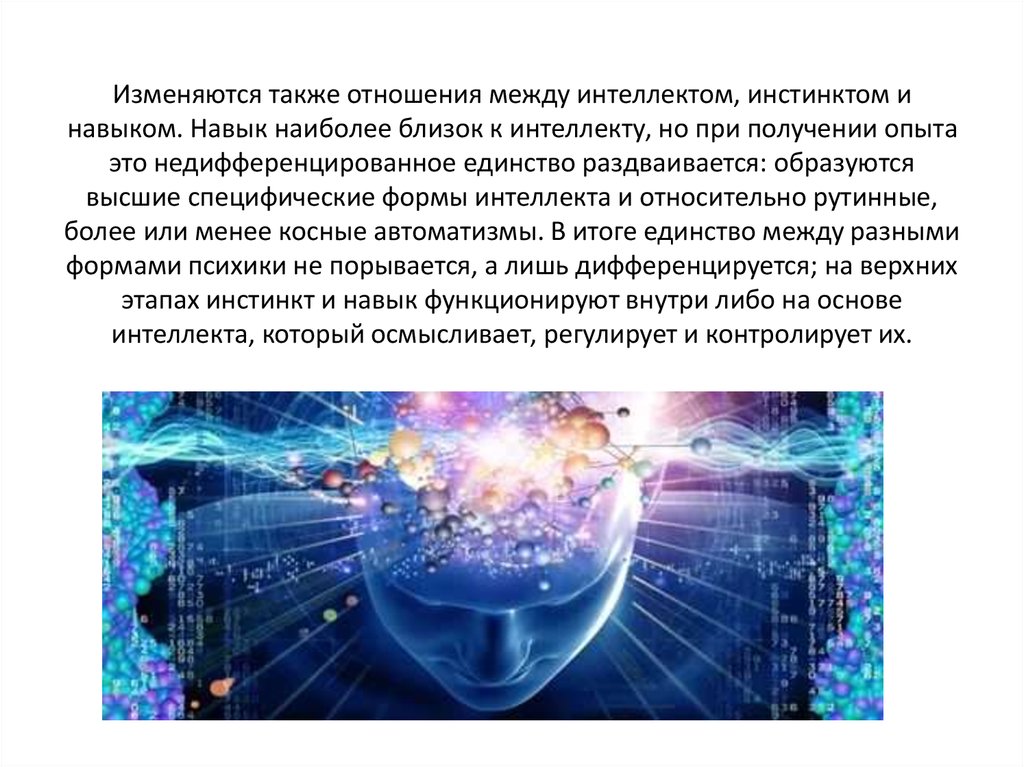 Также изменились. Взаимосвязь инстинкта и навыка. Каково соотношение инстинкта и интеллекта. Проблема инстинкта навыка и интеллекта. Инстинкт навык интеллект.