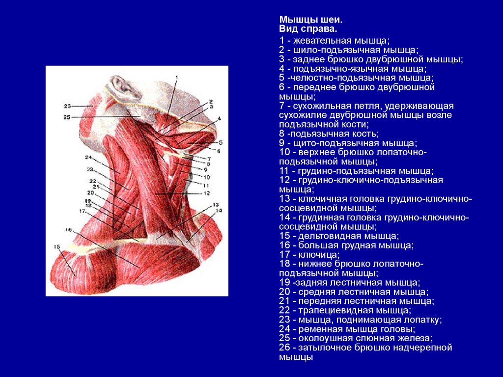 view Molecular biology and pathology of