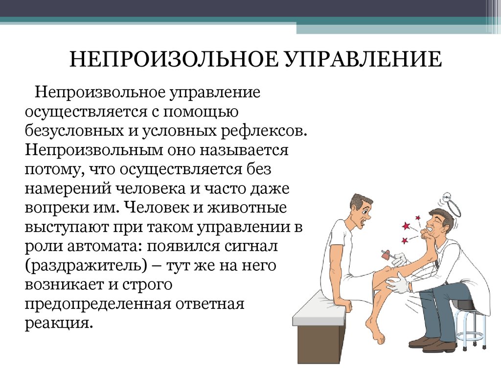 Презентация психофизиология водителя