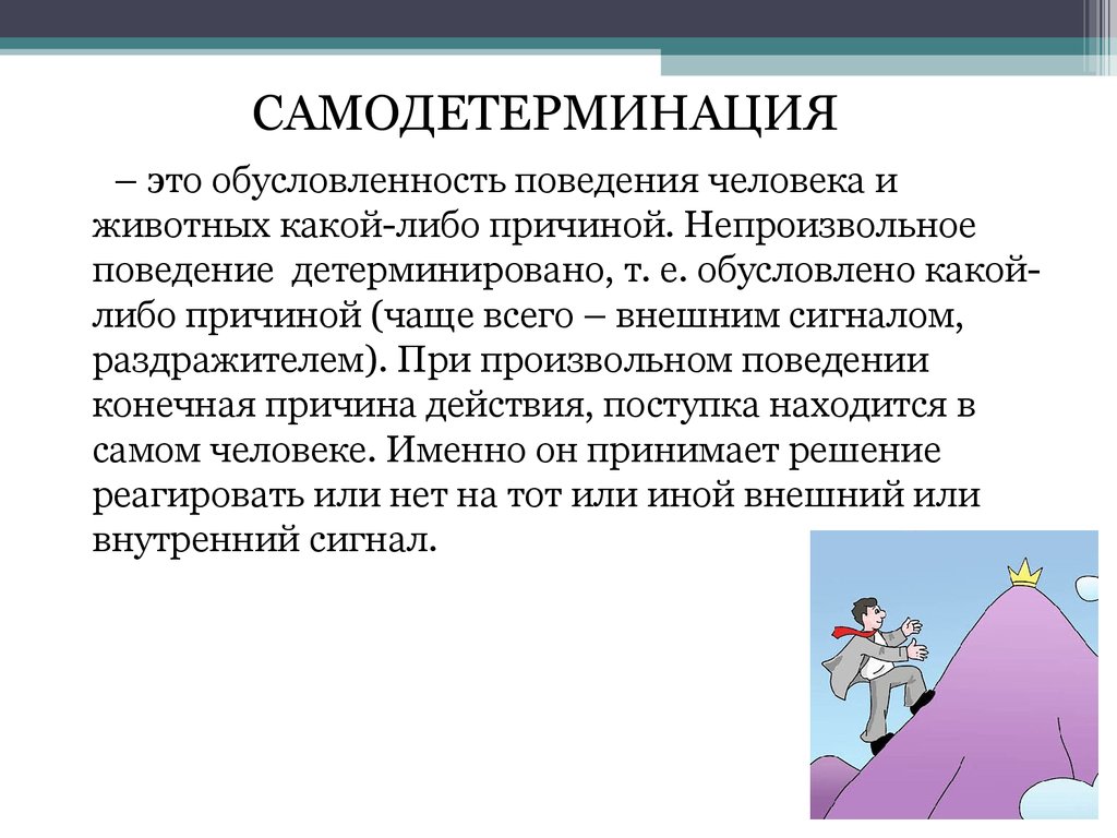 Поведение человека обусловлено. Обусловленность это. Значение обусловленности. Обусловленность это в русском языке. Основные параметры произвольности поведения человека.