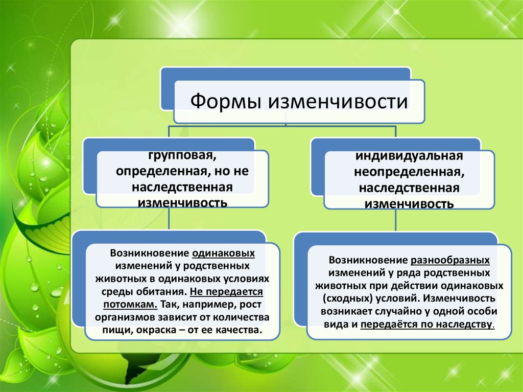 Виды изменчивости биология. Групповая изменчивость. Индивидуальная и групповая изменчивость. Форма изменчивости групповая. Определенная групповая изменчивость примеры.