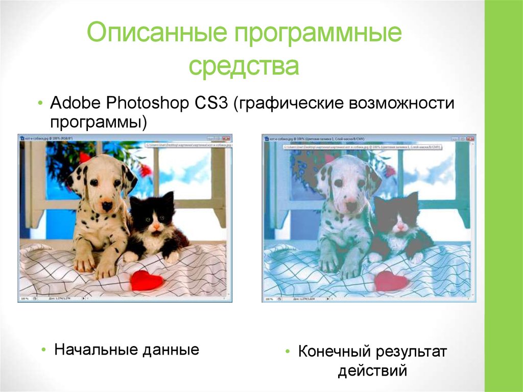 Описанные программные средства