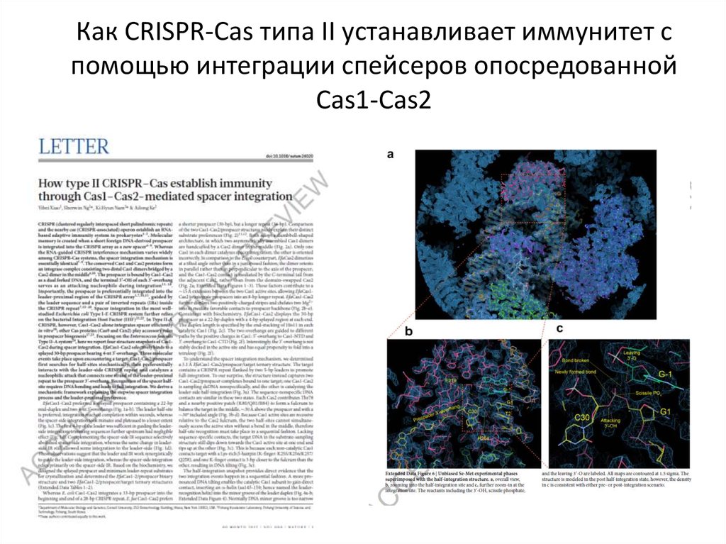 Тип cas