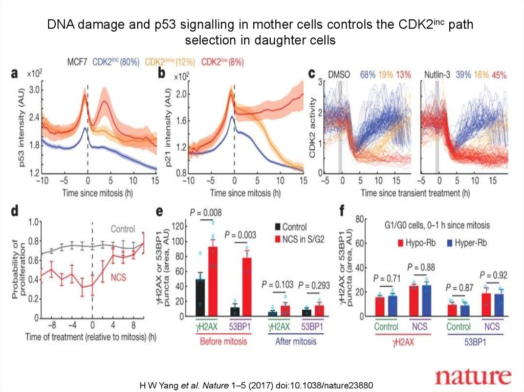 Dna damage