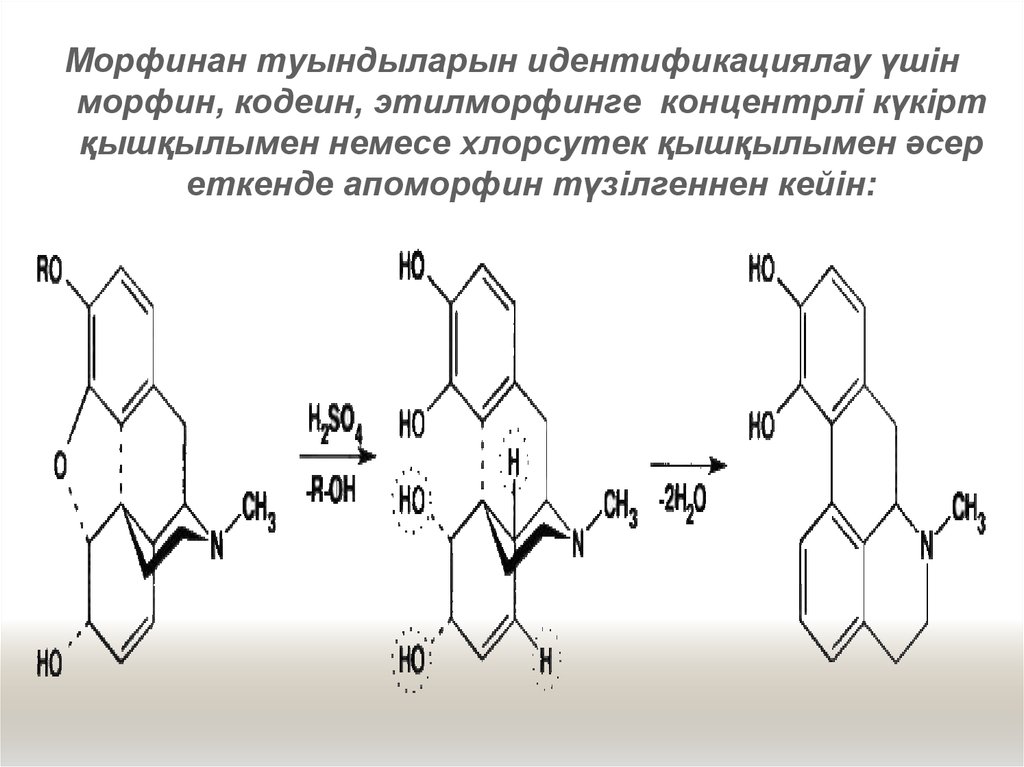 Хлорсутек қышқылы