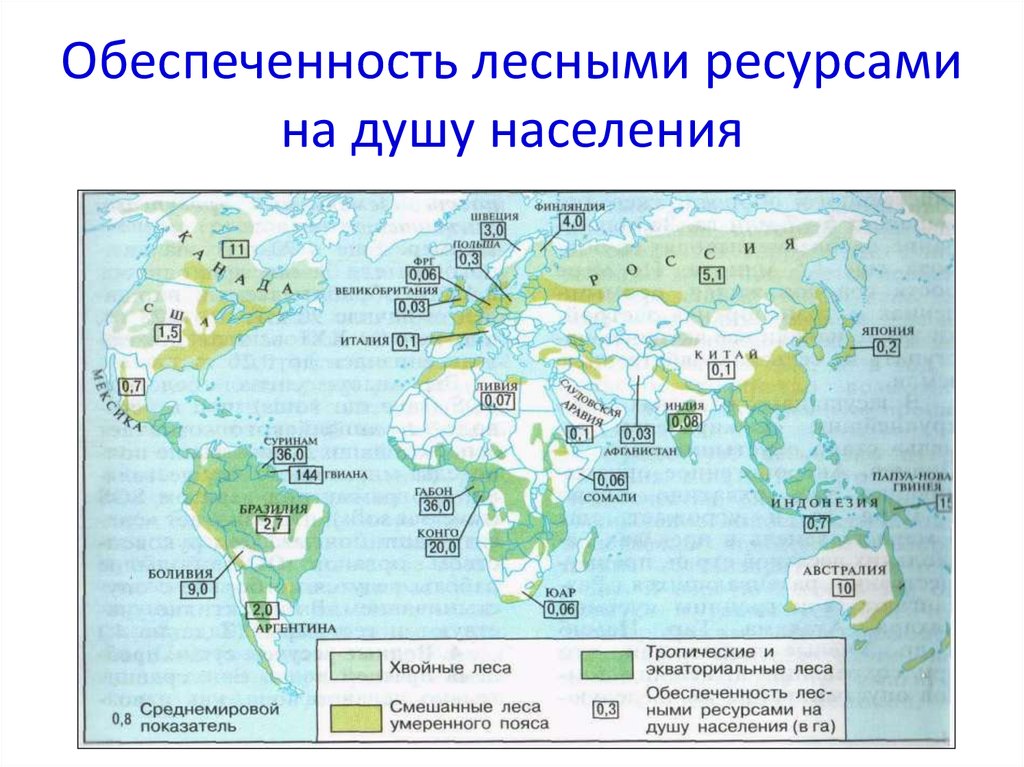 Страны с наибольшей обеспеченностью лесными ресурсами