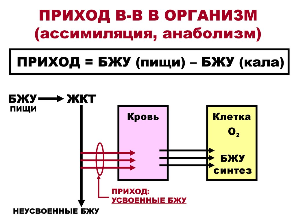 Внешняя среда клетки. Обмен веществ между организмом и внешней средой. Приход энергии физиология. ИКТС-11 схема подключения. Приход энергии и его определение.