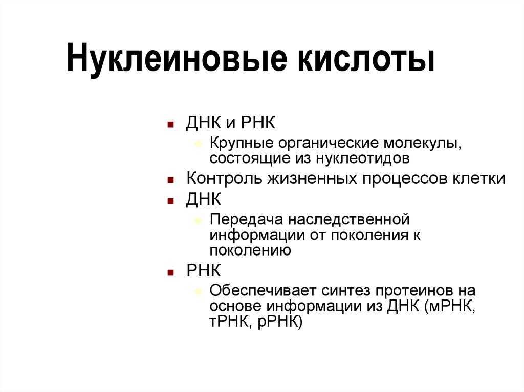 Нуклеиновые кислоты презентация