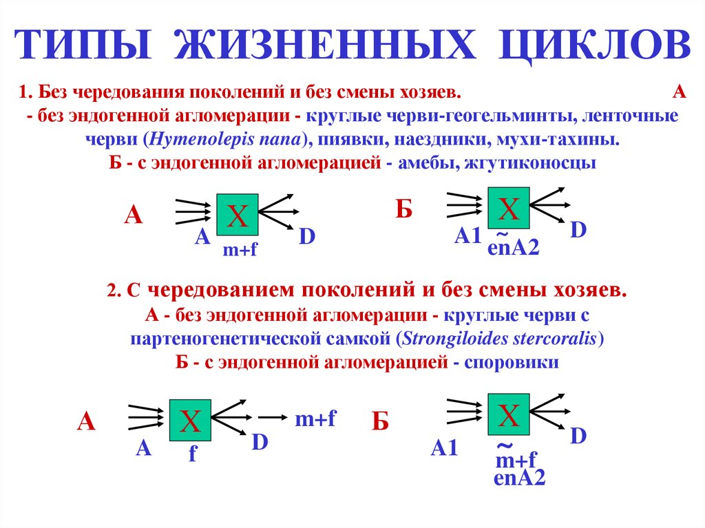 Типы жизненных циклов проекта