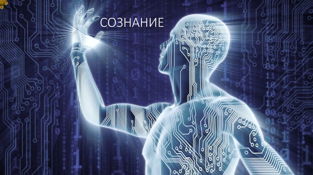Сознание