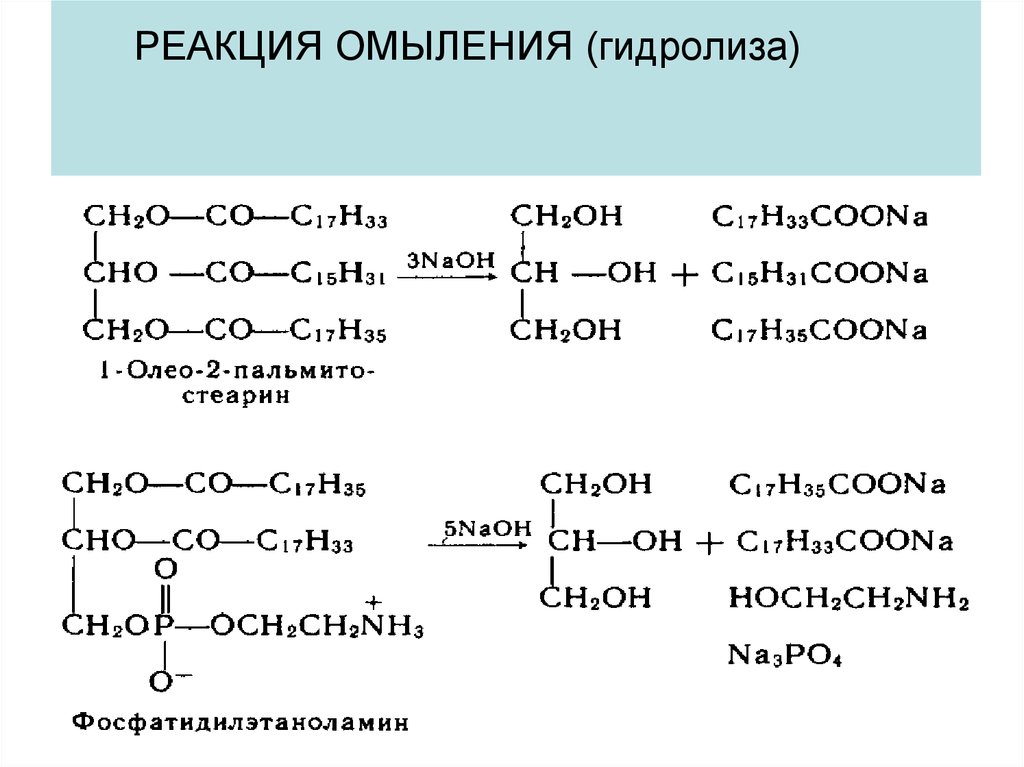 Кислый гидролиз жиров. Механизм реакции омыления жира. Реакция омыления жиров формула. Гидролиз линоленовой кислоты реакция. Реакция омыления фосфатидилэтаноламина.