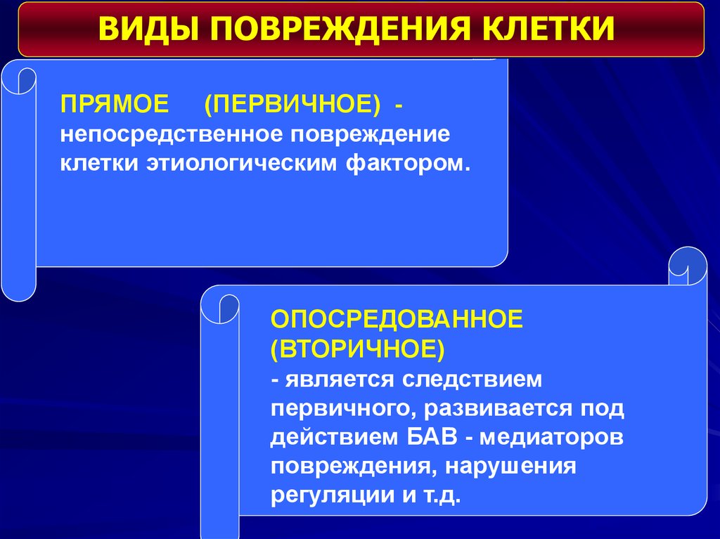 Повреждение клетки. Первичные и вторичные повреждения. Формы повреждения клеток патофизиология. Повреждение клетки патофизиология. Первичное и вторичное повреждение клетки.