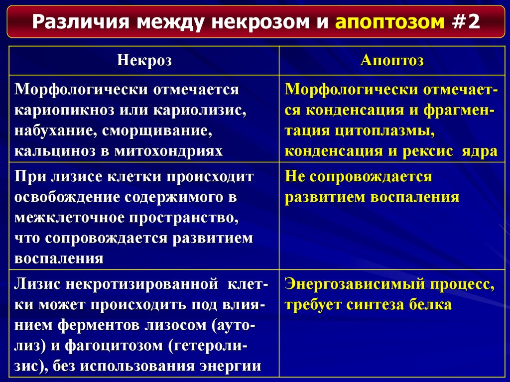 Отличие некроза от апоптоза. Различия между апоптозом и некрозом. Некроз и апоптоз различия. Отличие апоптоза от некроза патофизиология. Сравнительная характеристика некроза и апоптоза.