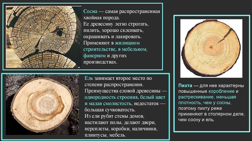 Сообщение о древесине 5 класс. Недостатки древесины в строительстве. Сосна описание древесины. Недостатки древесины как строительного материала. Достоинства дерева как строительного материала.