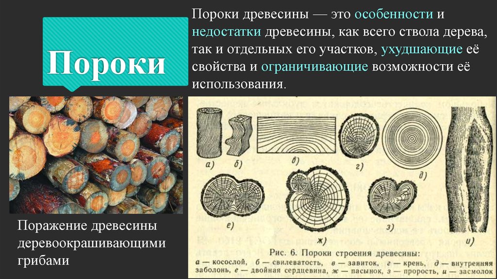 Дефекты древесины. Пороки строения древесины. Природные пороки древесины. Пороки формы строения. Структура пороков древесины.