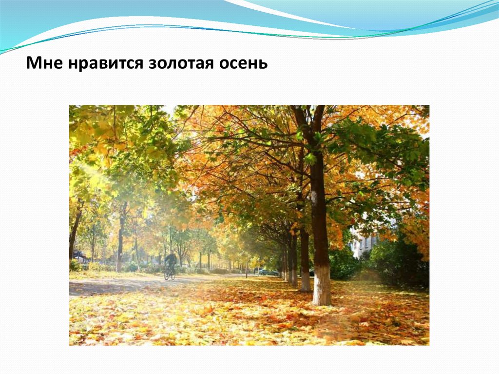Мне нравится золотая осень