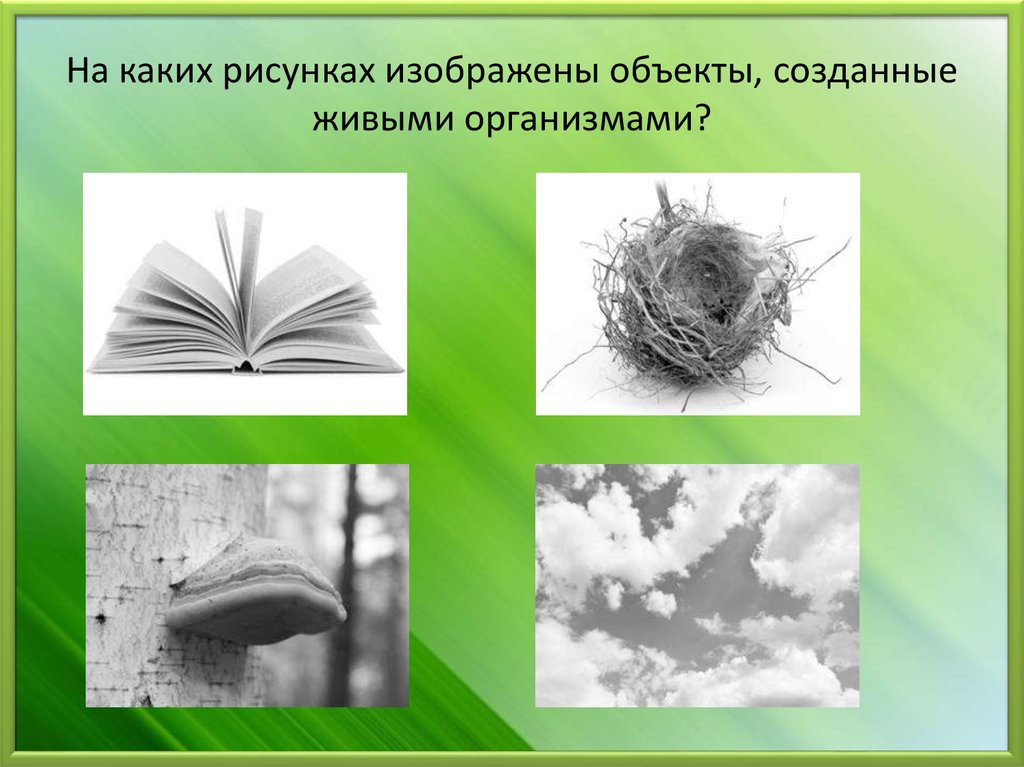 Как называется изображение неживого предмета как живого существа в лес бесшумно прилетела ночь