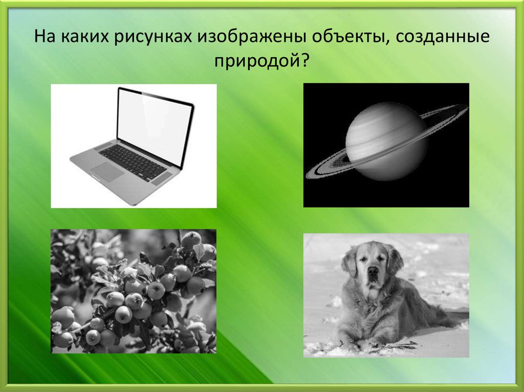 Какой объект изображен на рисунке. Объекты природы созданные человеком. Изображены предметы природного. Живые и неживые объекты техносферы. На каких рисунках изображены объекты созданные людьми.