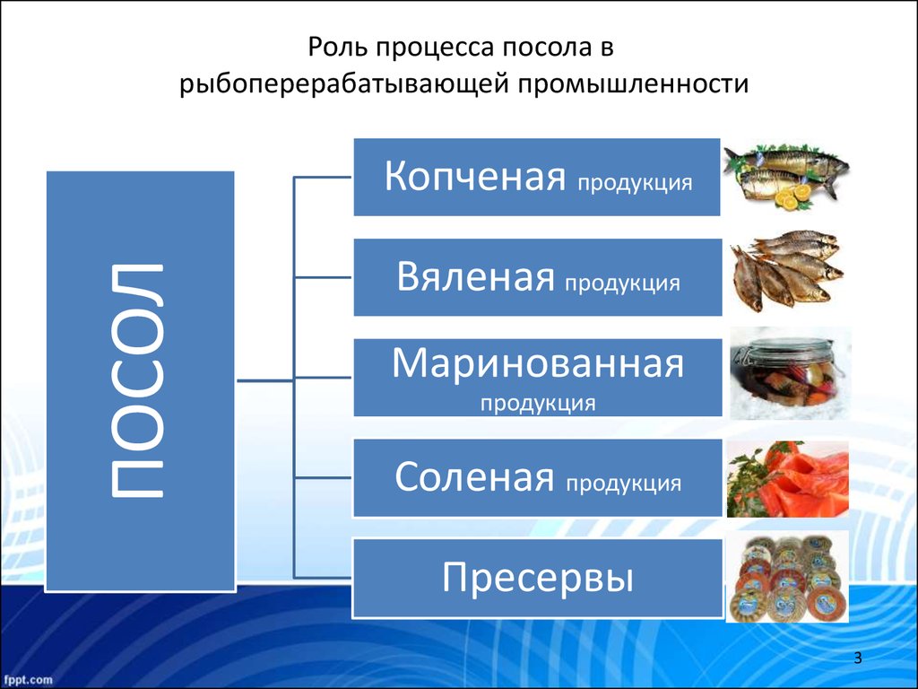 Роль процесса. Методы посола рыбы. Перечислите способы посола рыбы. Процесс посола рыбы. Классификация соленой рыбы.