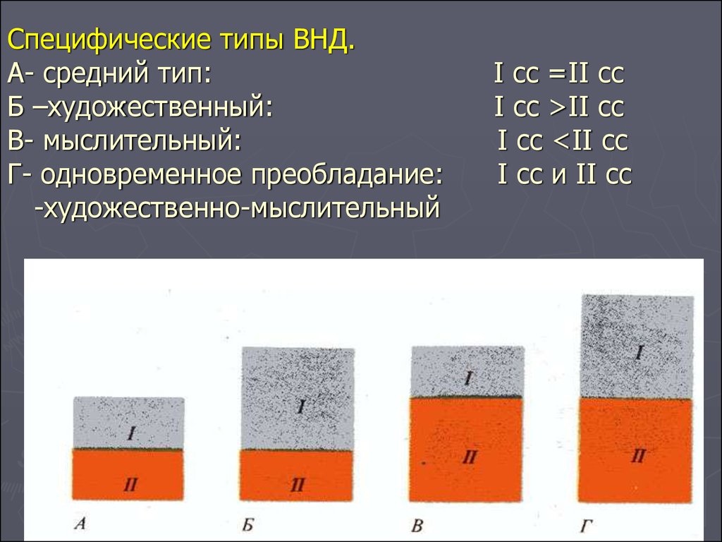 Средний тип