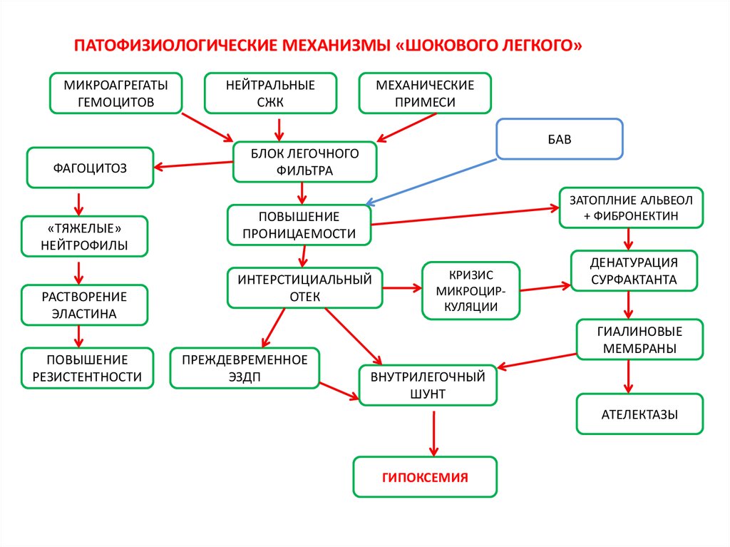 Состав эмболов блок схема