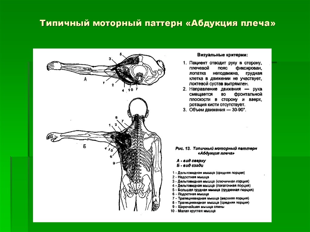 Критерии движения. Типичный моторный паттерн «абдукция плеча». Абдукция плечевого сустава. Типичный моторный паттерн. Абдуктивное рассуждение.