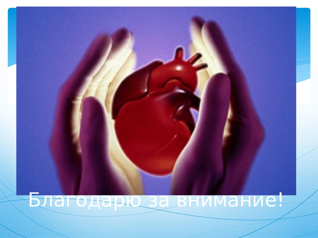 Благодарю за внимание!