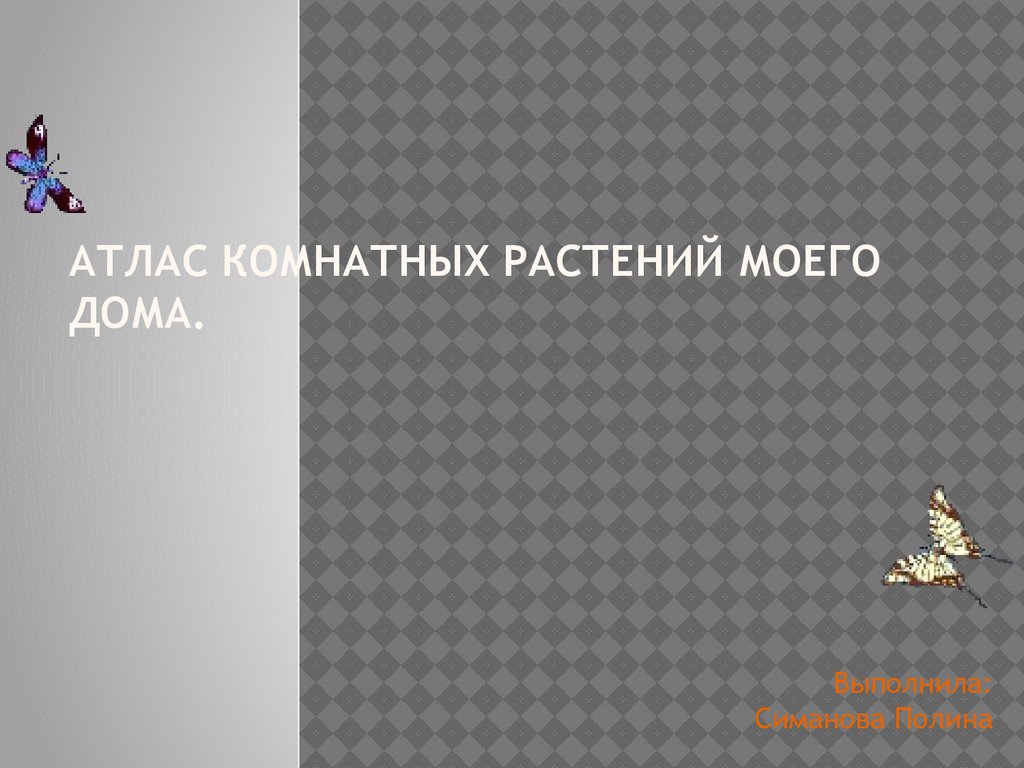 Атлас комнатных растений моего дома - презентация онлайн